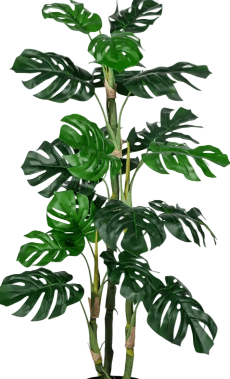 Monstera Tree (Life-life Artificial)