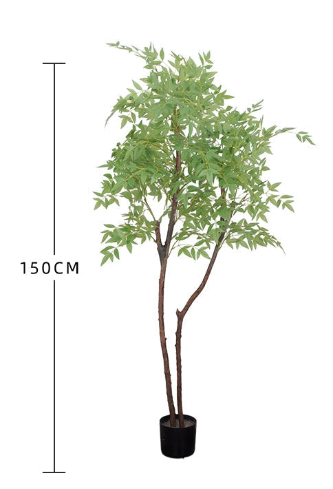 Bamboo Big Leaf 150cm
