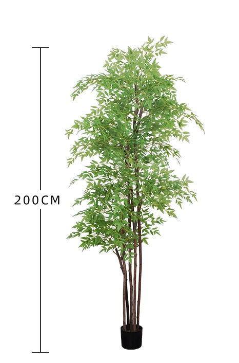 Bamboo Big Leaf 200cm