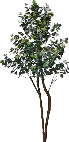 Eucalyptus Real-Trunk Artificial