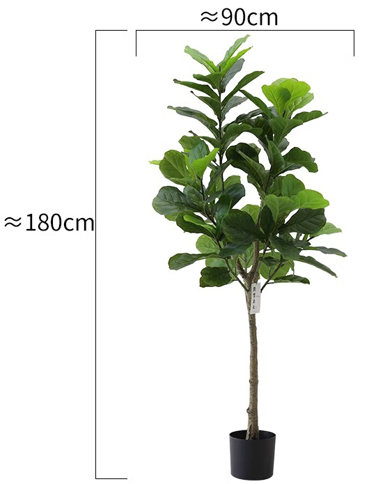 180cm