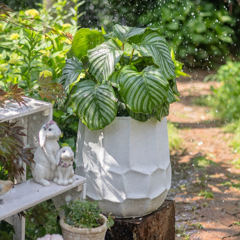 Eina Planter
