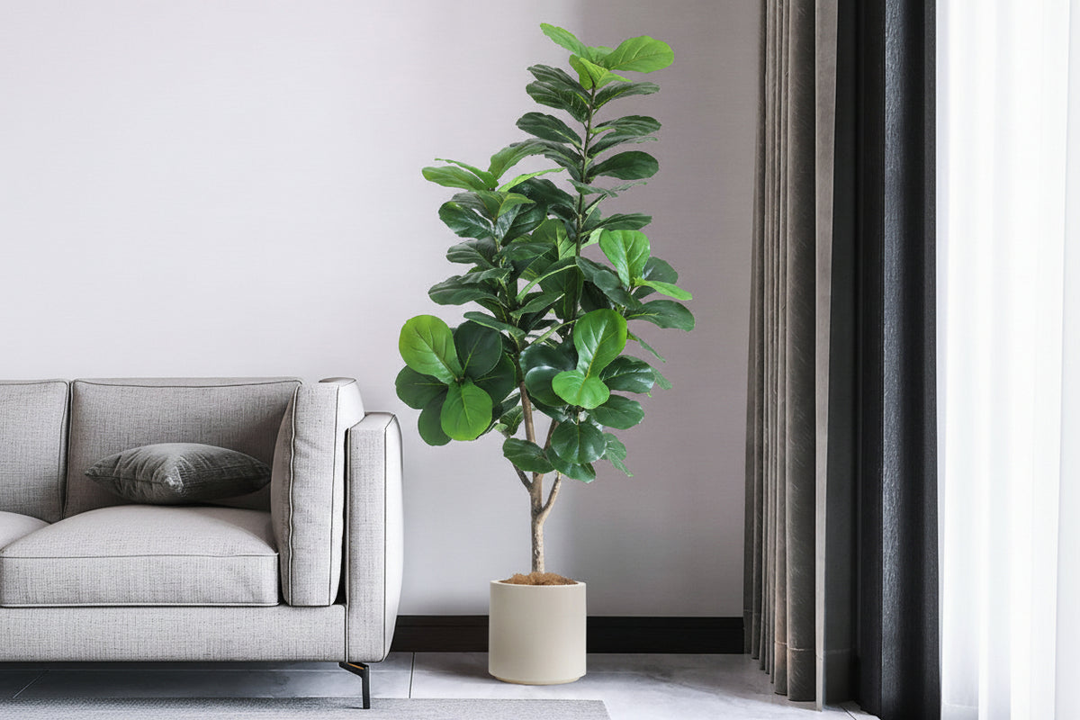 Fiddle Leaf Fig (Life-like Artificial)