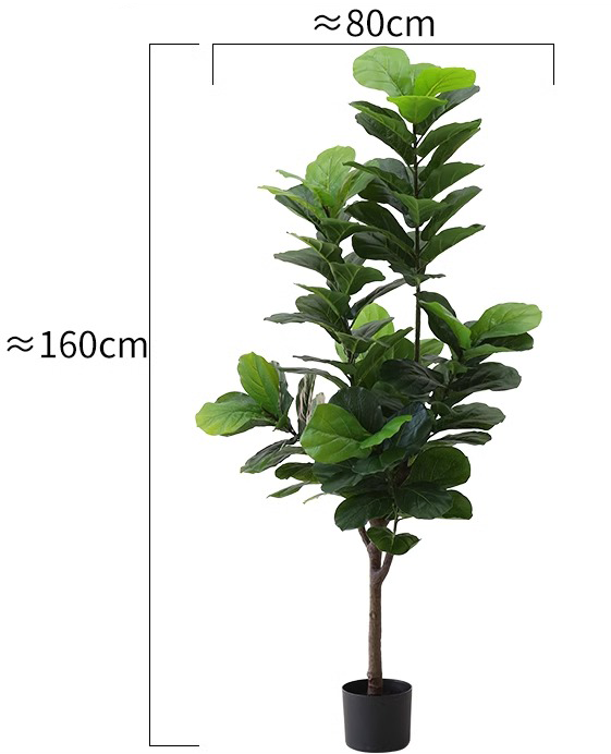 Fiddle Leaf Fig (Life-like Artificial)