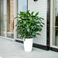 HydroEase Tall Self-Watering Planter - L