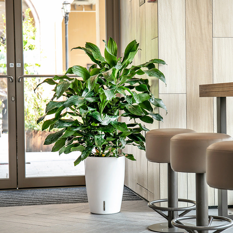 HydroEase Tall Self-Watering Planter - L