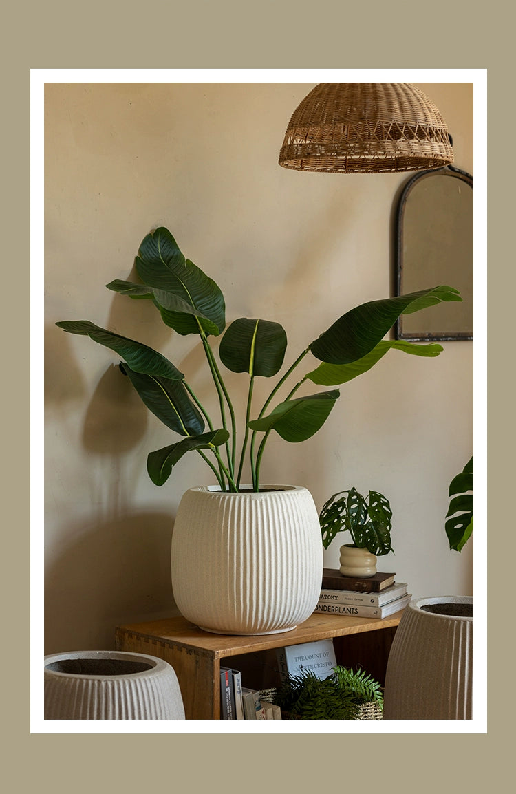 Reed Planter