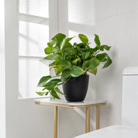 HydroEase Smart Self-Watering Pot - M