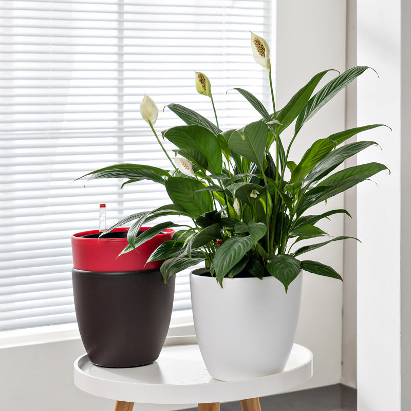 HydroEase Smart Self-Watering Pot - M