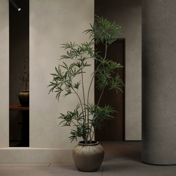 Tumbleweed Plants