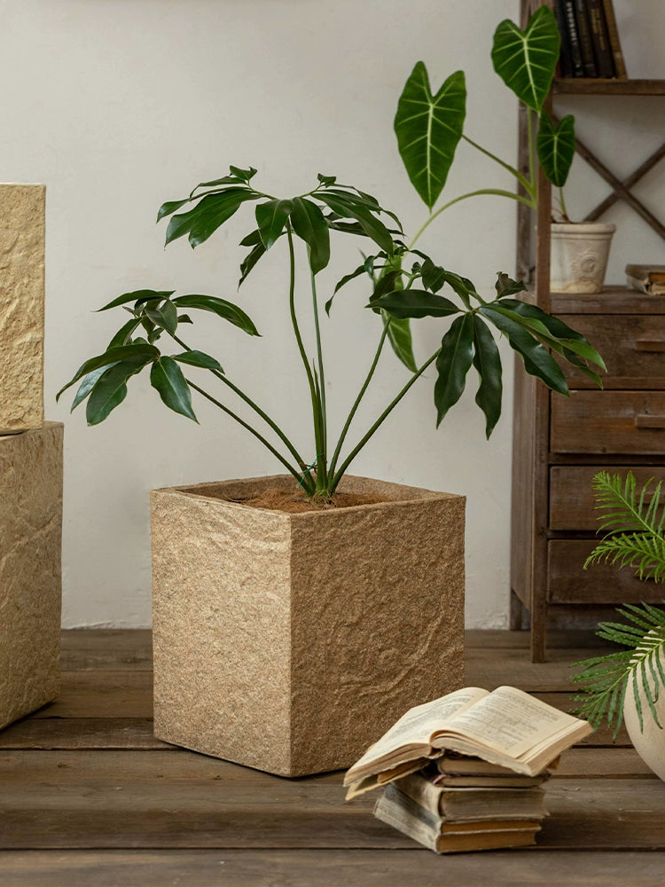 Cube Rock Pot - XL