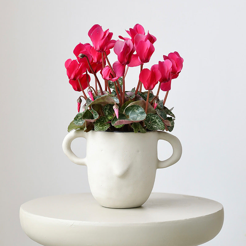 Otis Cup Pot