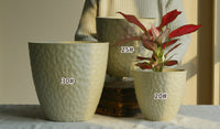 Luna Egg Pearl Cloudstone Pot - Large