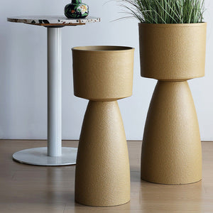 Tumbleweed Plants