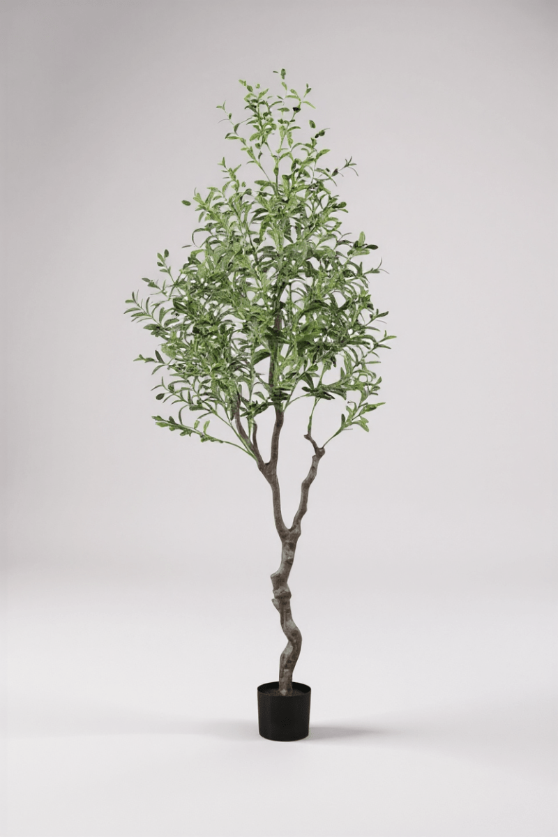 Grow Pot