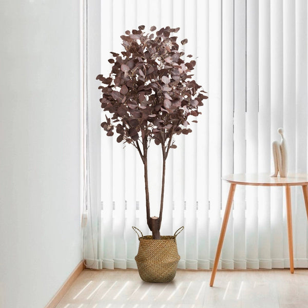 Eucalyptus Real-Trunk Artificial - Potted plant -  Tumbleweed Plants