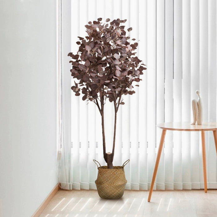 Eucalyptus Real-Trunk Artificial - Potted plant -  Tumbleweed Plants