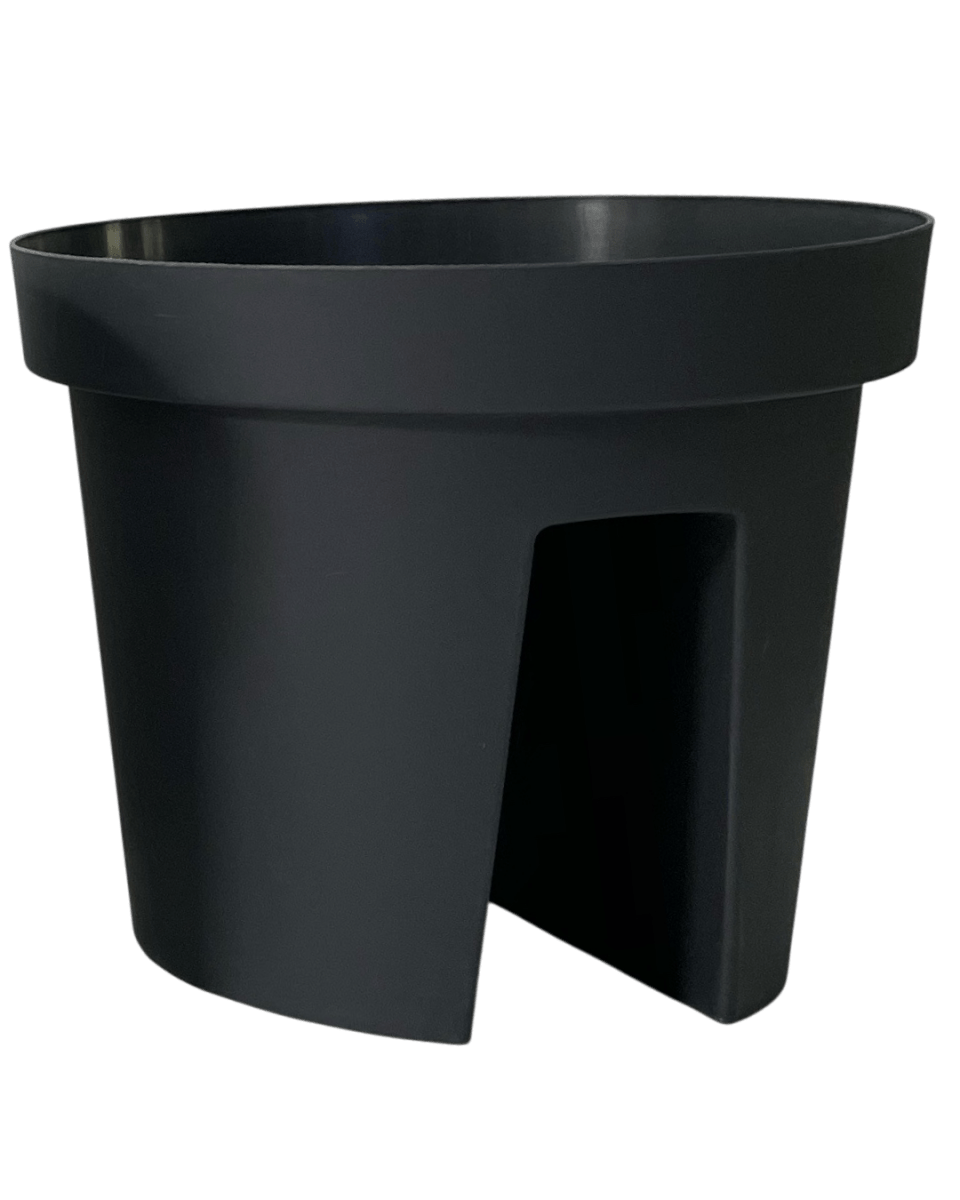 Rail Pot - Planter - 4471411668080 - Tumbleweed Plants - Online Plant Delivery Singapore