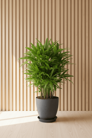 Tumbleweed Plants