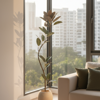 Rubber Tree 1.6m (Life-like Artificial)