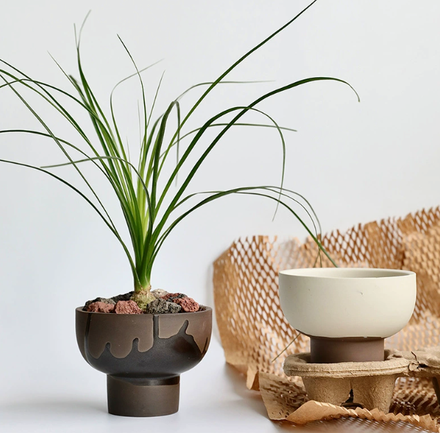 Two-Tone Bowl Pot