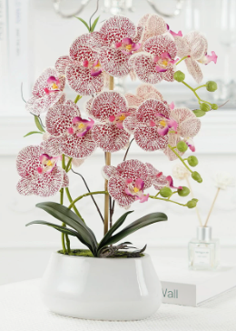 Abundance Royal Phalaenopsis - (Life-like Artificial)