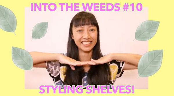 Tumbleweed Plants