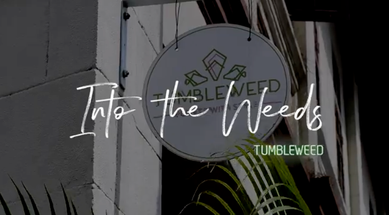Tumbleweed Plants