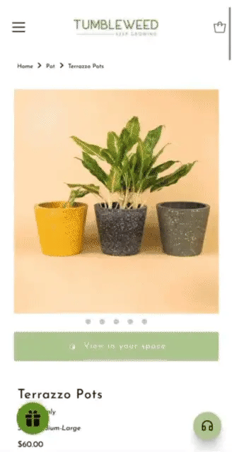 Tumbleweed Plants