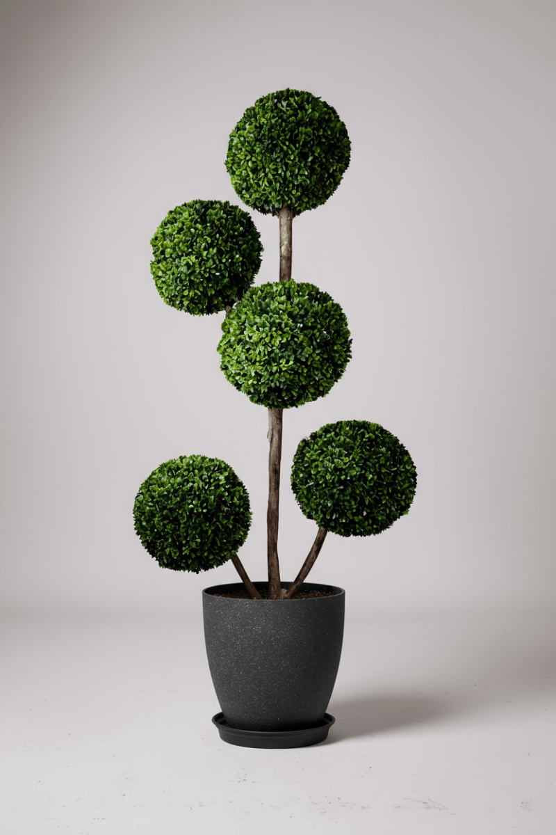 Ball Tree - Real - Trunk Artificial - Potted plant - 5516314535782 - Tumbleweed Plants - Online Plant Delivery Singapore