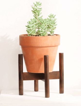 Wooden Plant Stands - Plant Stand - PLAN - WOOD - SMLWLN - 6910 - Tumbleweed Plants - Online Plant Delivery Singapore