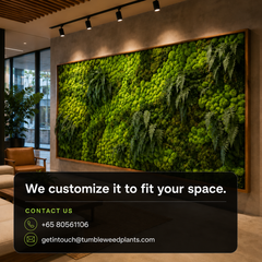 XL Frame - Preserved Plants: MOSS.
