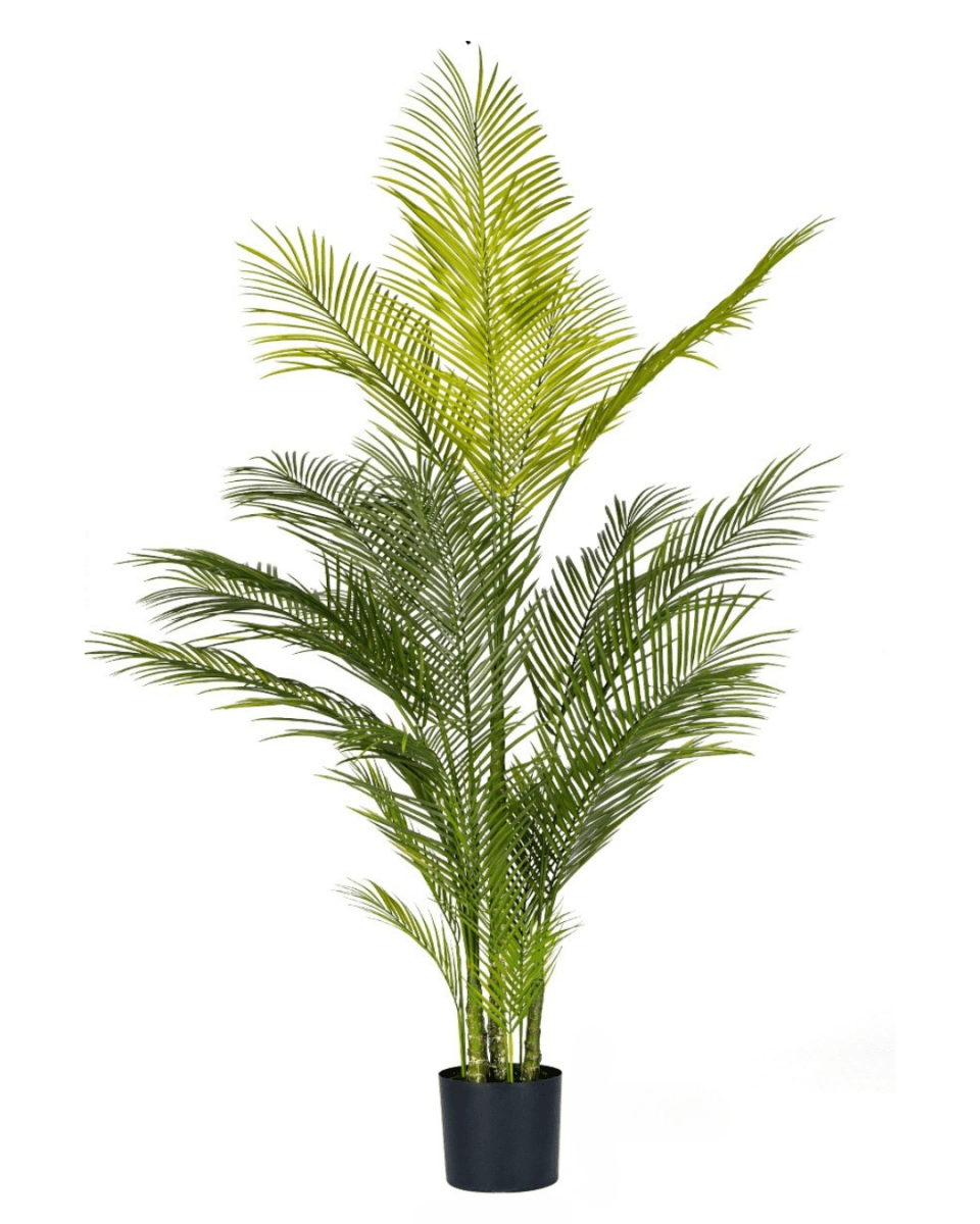 Areca Palm (Life - life Artificial) - Potted plant - 4857563185005 - Tumbleweed Plants - Online Plant Delivery Singapore