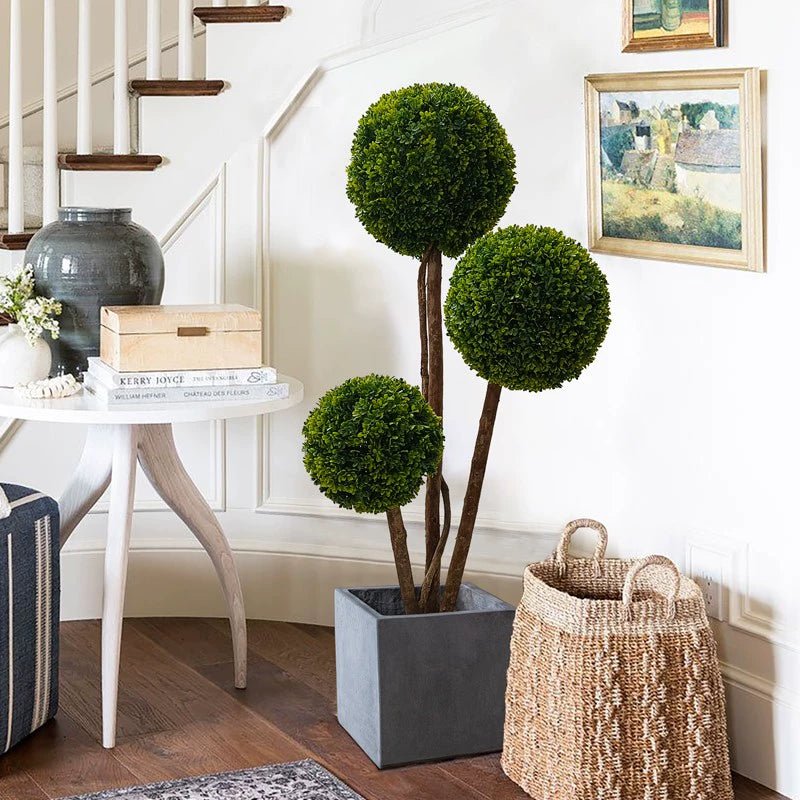 Ball Tree - Real - Trunk Artificial - Potted plant - 5516314535781 - Tumbleweed Plants - Online Plant Delivery Singapore