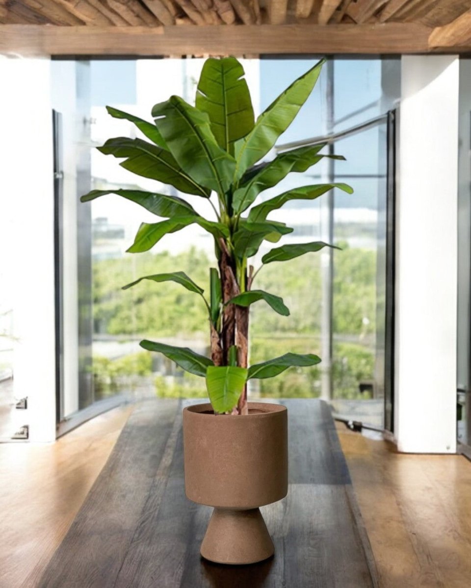 Banana Tree (Life - life Artificial) - Potted plant - 5103784103174 - Tumbleweed Plants - Online Plant Delivery Singapore