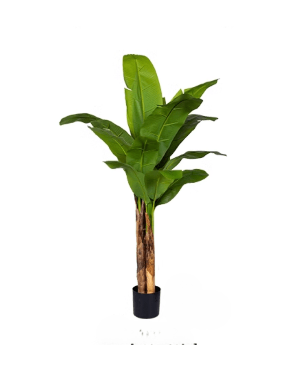 Banana Tree (Life - life Artificial) - Potted plant - 5103784103174 - Tumbleweed Plants - Online Plant Delivery Singapore