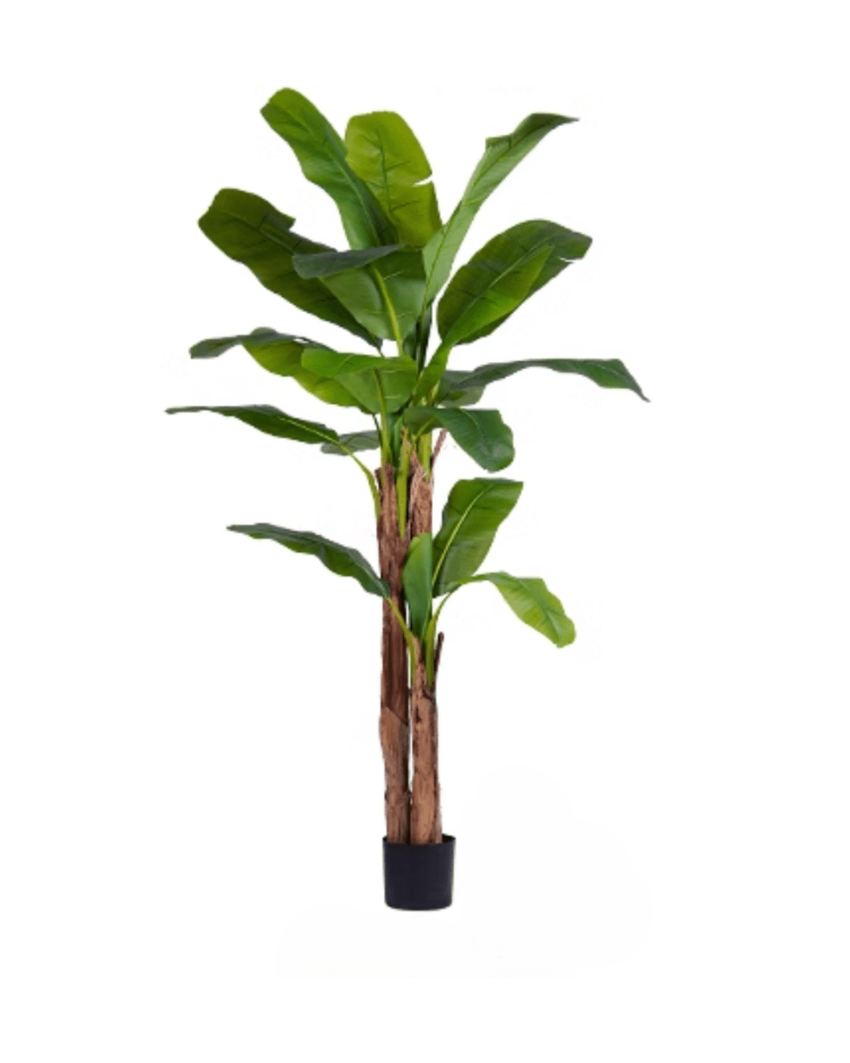 Banana Tree (Life - life Artificial) - Potted plant - 5103784103176 - Tumbleweed Plants - Online Plant Delivery Singapore