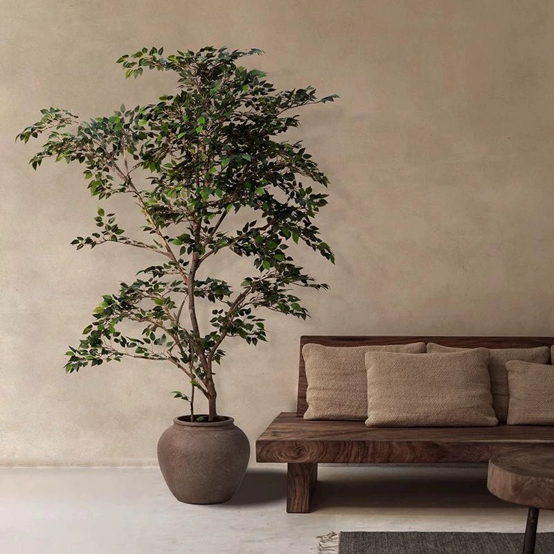 Banyan Tree - Real - Trunk Artificial - Potted plant - POTT - BANY - MRS - 7271 - Tumbleweed Plants - Online Plant Delivery Singapore