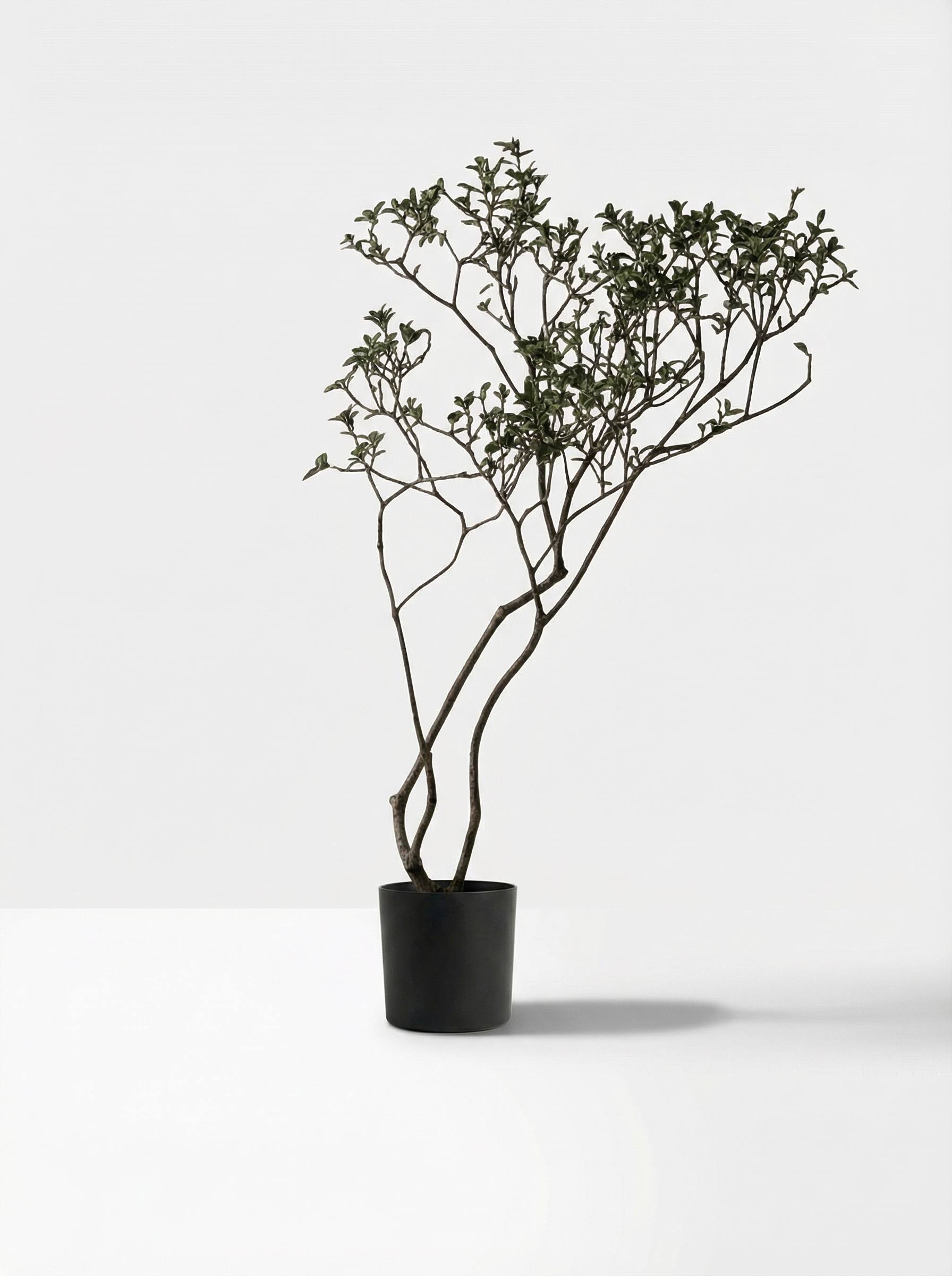 Green Tree 150cm