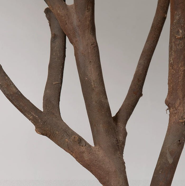 China Doll Tree - Real - Trunk Artificial - Potted plant - 5516314535781 - Tumbleweed Plants - Online Plant Delivery Singapore