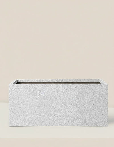 COSMOS Planter Box