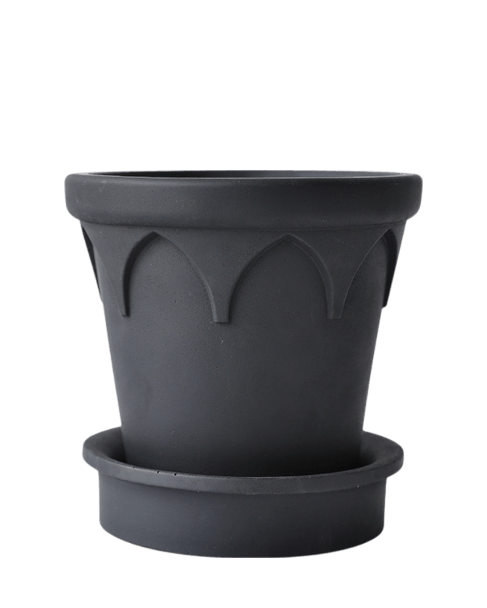 Crown Planter - Planter - 5486229020148 - Tumbleweed Plants - Online Plant Delivery Singapore