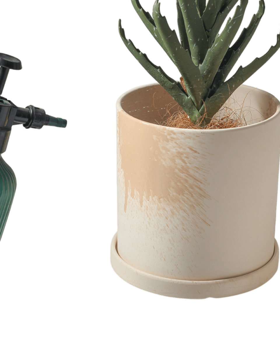 Cylinder Pot - XS - Planter - 4763524261540 - Tumbleweed Plants - Online Plant Delivery Singapore