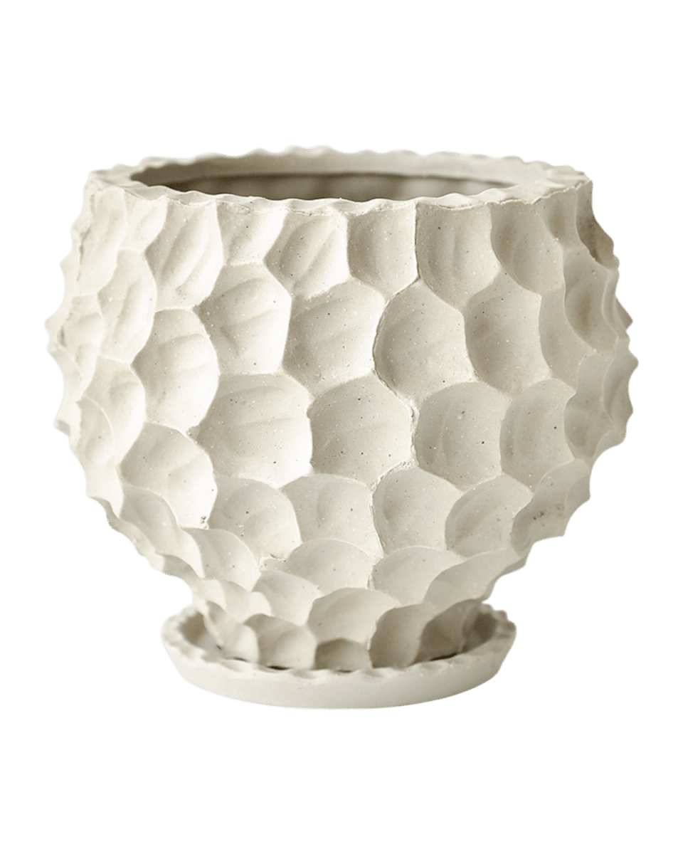 Durian Planter - Planter - 5995558258549 - Tumbleweed Plants - Online Plant Delivery Singapore