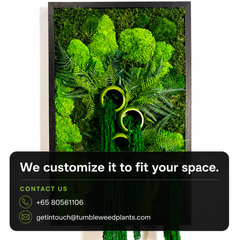 Frame Greens - MOSS.