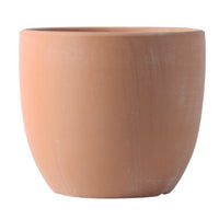 Egg Pot Small