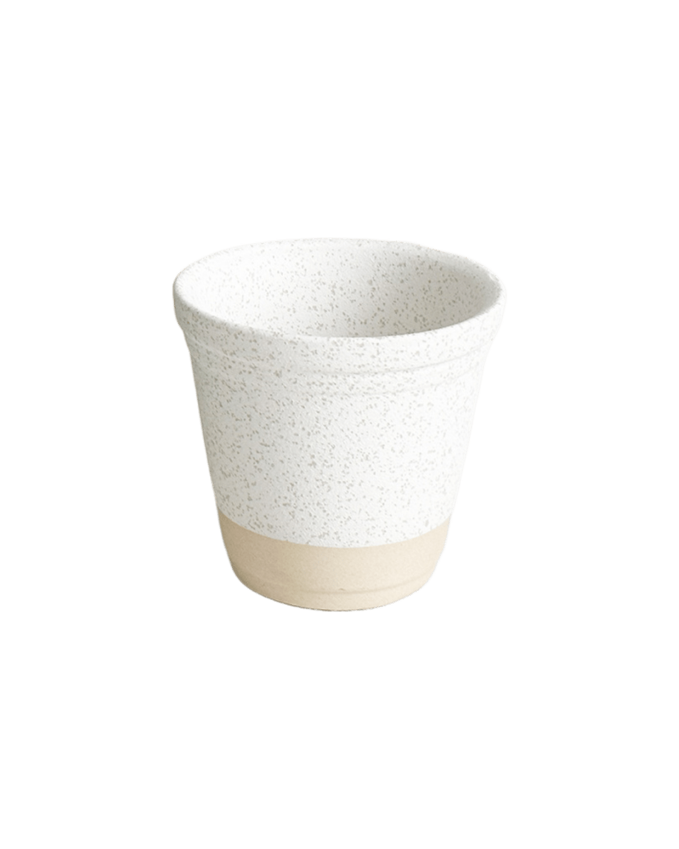 Elm Pot - Planter - 5963202403655 - Tumbleweed Plants - Online Plant Delivery Singapore