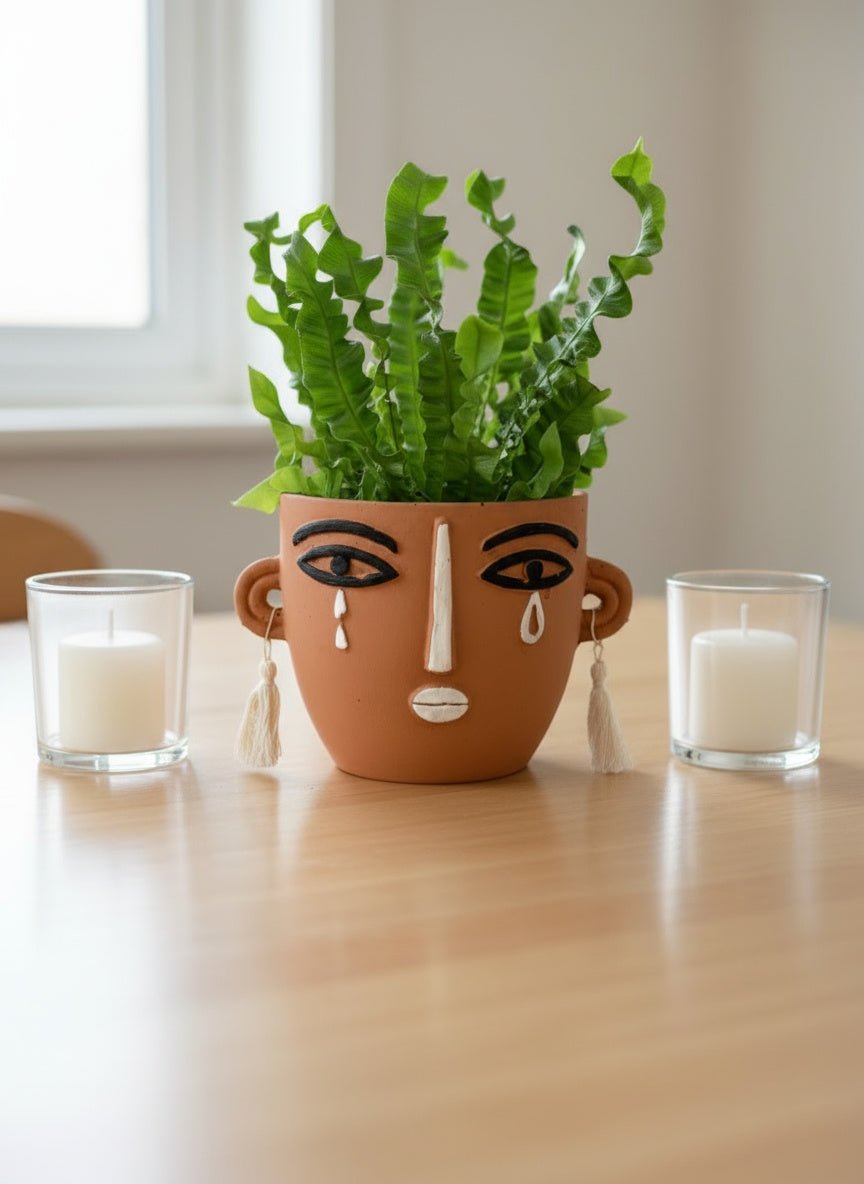 Wavy Bird Nest Fern - Potted plant - POTT-WAVY-GRW-6645 - Tumbleweed Plants - Online Plant Delivery Singapore