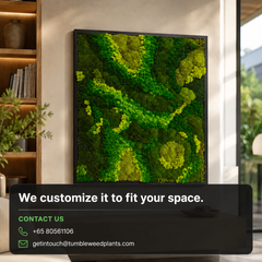 Frame - Preserved Plants: MOSS.