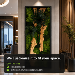 XL Frame - Preserved Plants: MOSS.